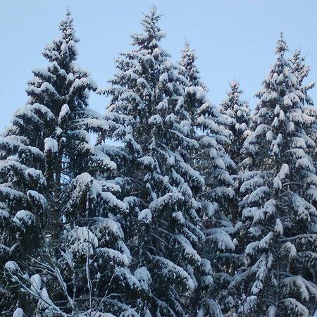 Holiday Home With Garden In Hellenthal Eifel 外观 照片