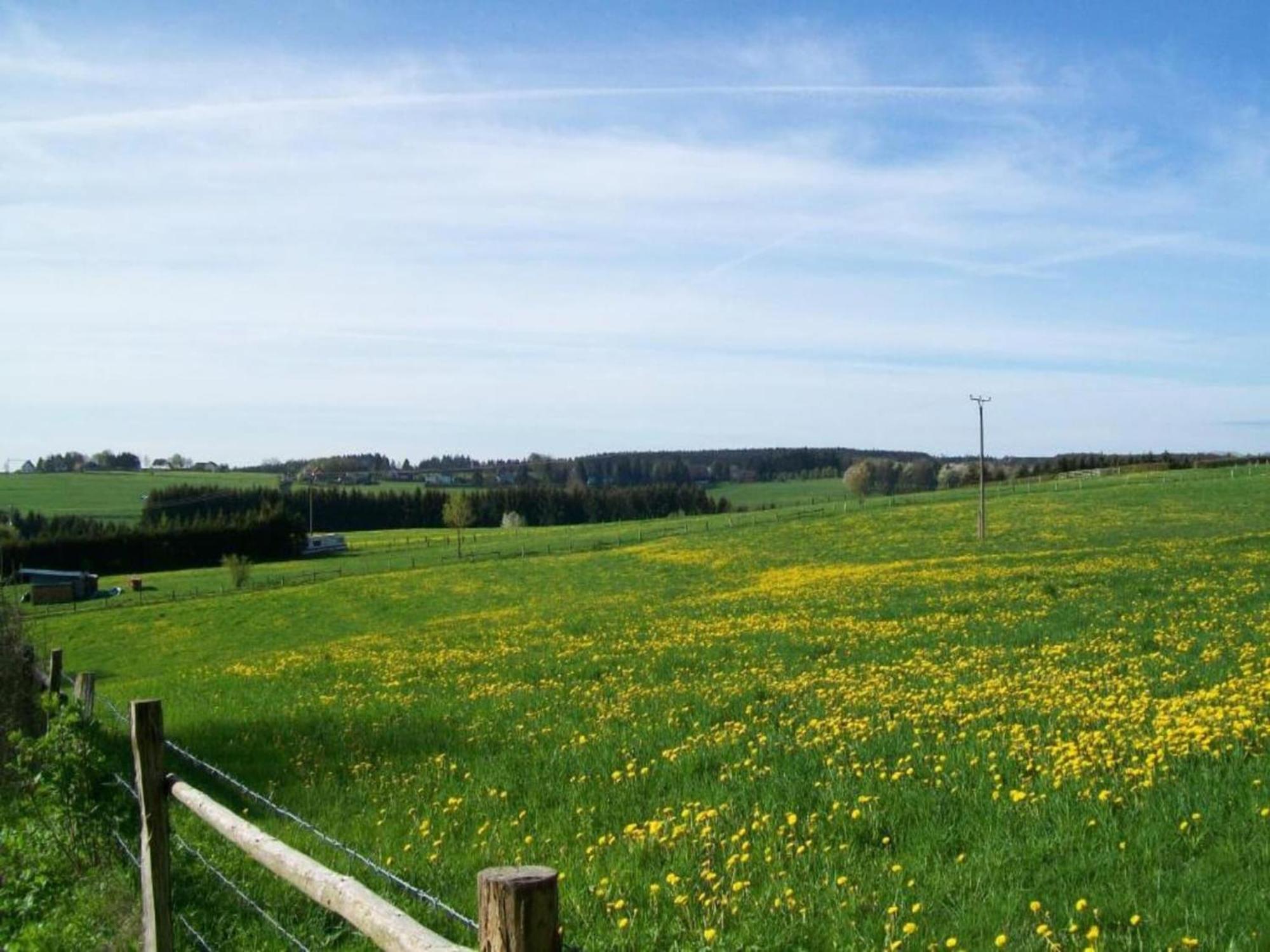 Holiday Home With Garden In Hellenthal Eifel 外观 照片